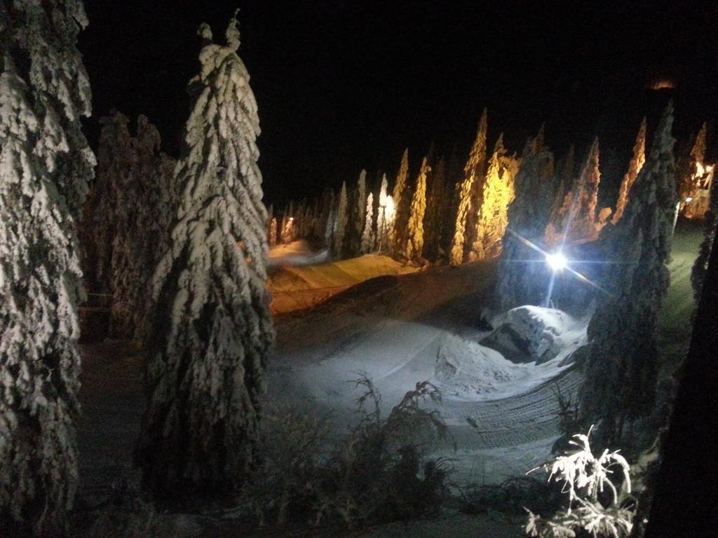 Koli Freetime * Ahmovaara