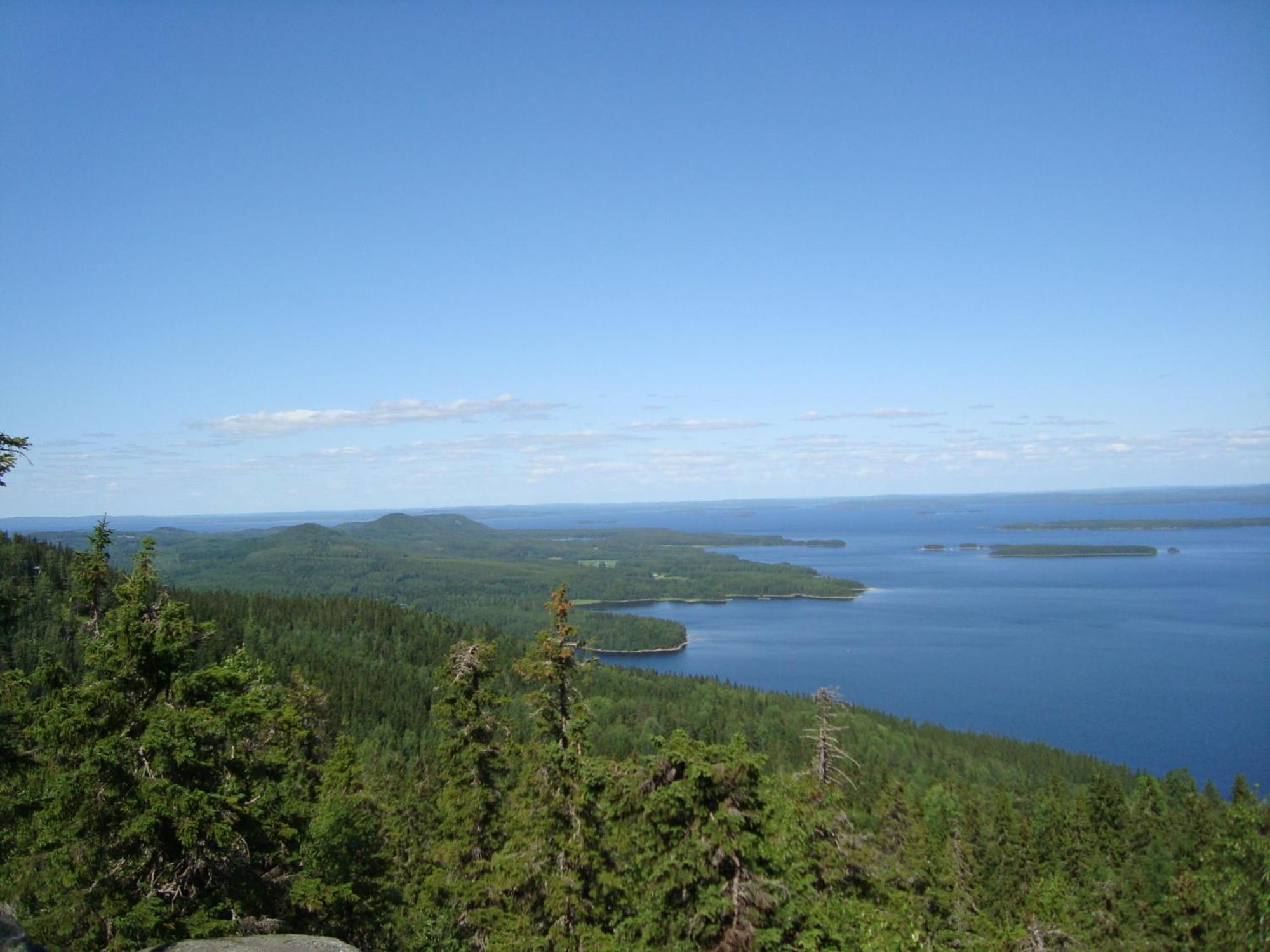 Koli Freetime * Ahmovaara